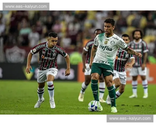 米竞技vs弗鲁米嫩：南美解放者杯巅峰对决，一场注定载入史册的荣耀之战