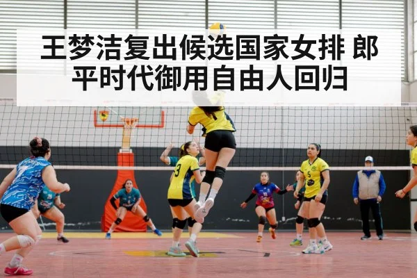 王梦洁复出候选国家女排 郎平时代御用自由人回归